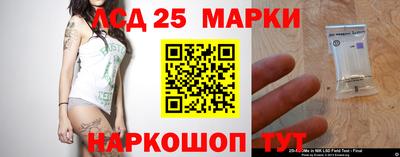 индика Вязники