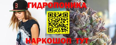 бошки Вышний Волочёк
