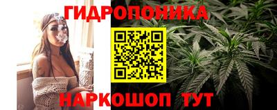 ПСИЛОЦИБИНОВЫЕ ГРИБЫ Вязьма