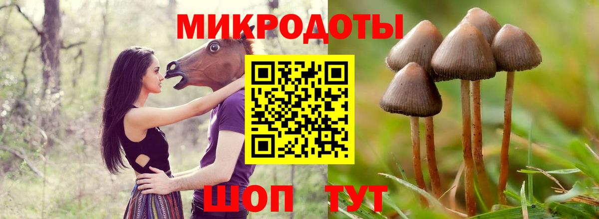 Псилоцибиновые грибы Psilocybine cubensis  Вход с VPN  Ачхой-Мартан 